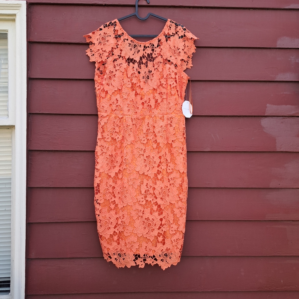 Little Mistress Orange Lace Sheath Dress